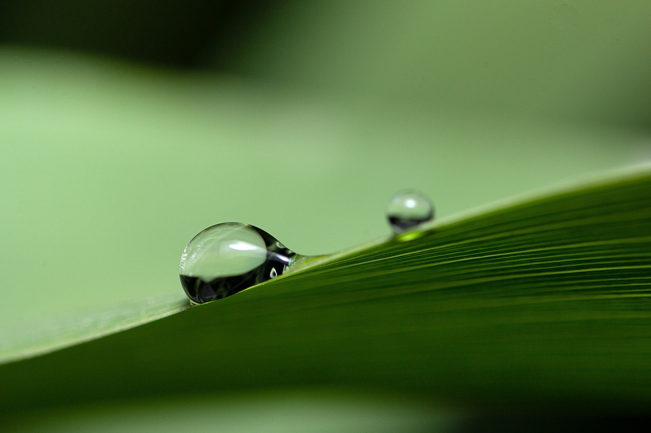 Is Green Energy the Solution to Energy Access in Remote Areas?